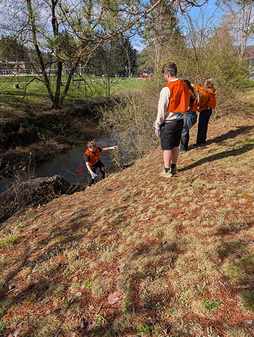 Students removing trash from a sloped area